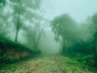 Discover Malabar tour destination