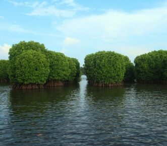 Discover Malabar tour destination